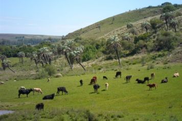 Foto - Querência Querida 02