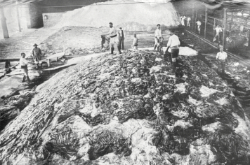 Foto - Quaraí 150 anos Emancipação Politica.