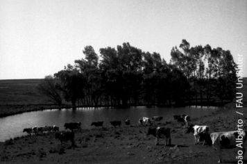 Foto - Querência Querida 03