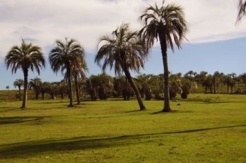 Foto - Querência Querida 02