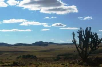 Foto - Querência Querida 02