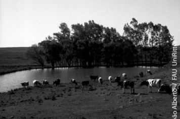 Foto - Querência Querida 03