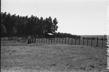 Foto - Querência Querida 03